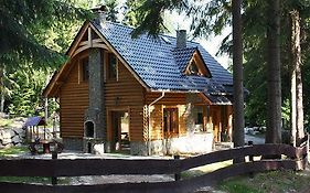 Domek Letniskowy Leśna Chata